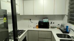 The Mint Residences (D15), Apartment #615169541